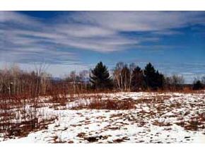 Cor Sargent/clermont Road Washington, VT 05675 - Photo 1 of 8