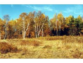 Cor Sargent/clermont Road Washington, VT 05675 - Photo 4 of 8