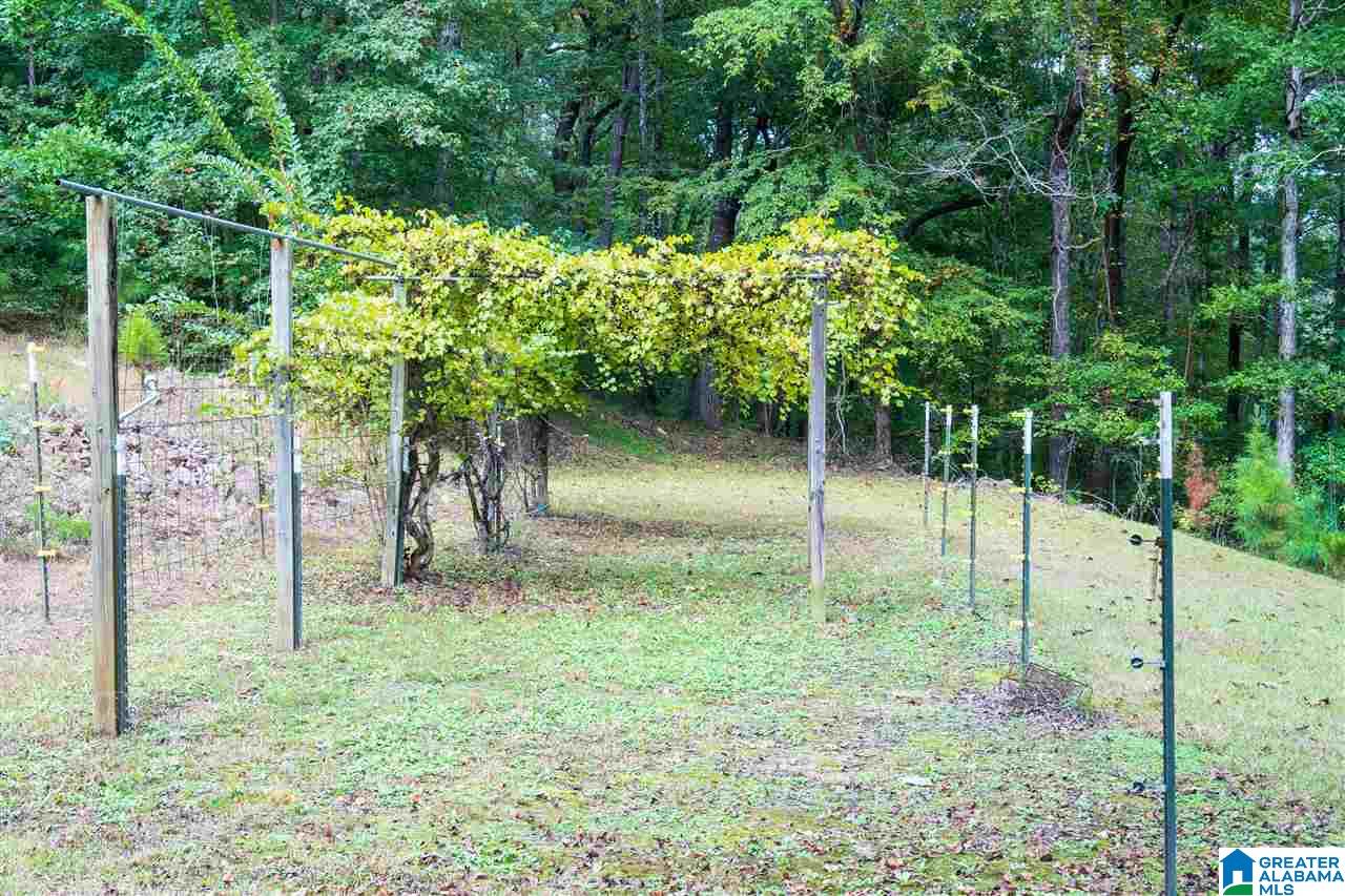 49 Ridgeview Lake Road Alabaster, AL 35007 - Photo 38 of 38
