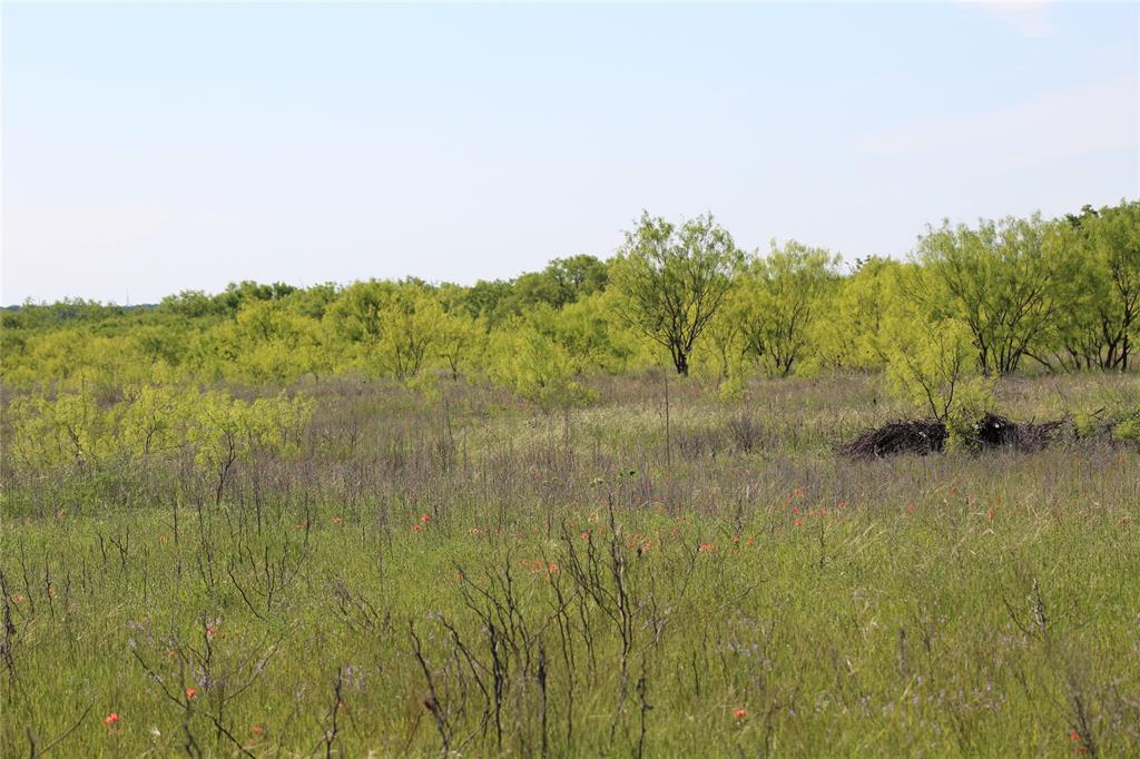 2077 A Shawver Road Perrin, TX 76486 - Photo 28 of 35 Expansive natural landscape featuring varied green foliage, mature trees, and an open field
