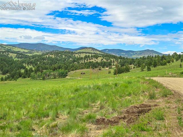 2529 Julia Road Guffey, CO 80820 - Photo 38 of 47