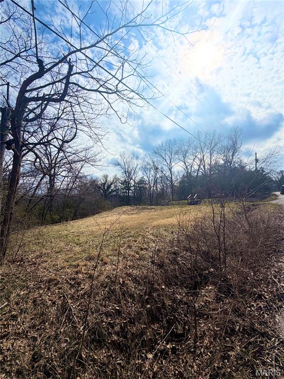 324 Sirius Road De Soto, MO 63020 - Photo 4 of 11