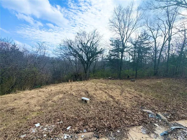 $17,000 | 324 Sirius Road, De Soto, MO 63020