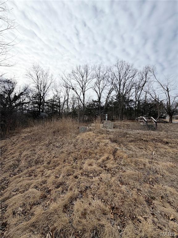 324 Sirius Road De Soto, MO 63020 - Photo 7 of 11