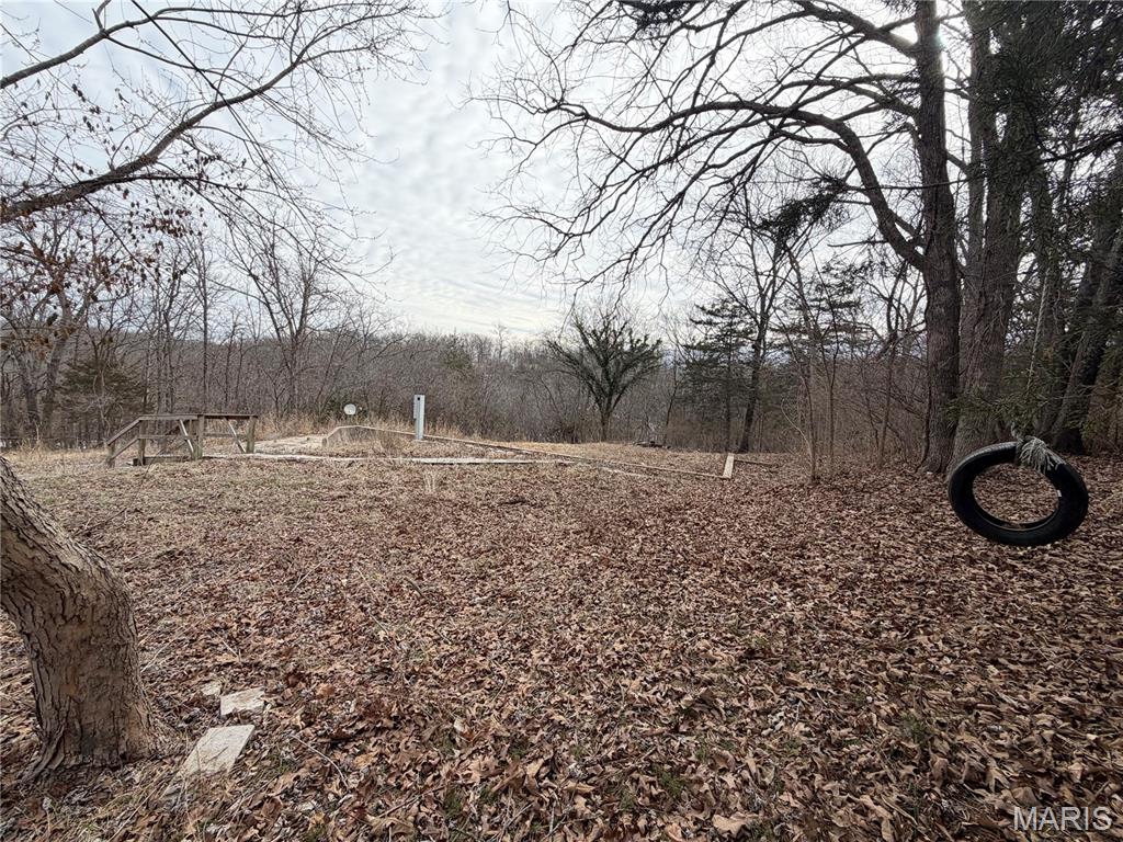 324 Sirius Road De Soto, MO 63020 - Photo 10 of 11