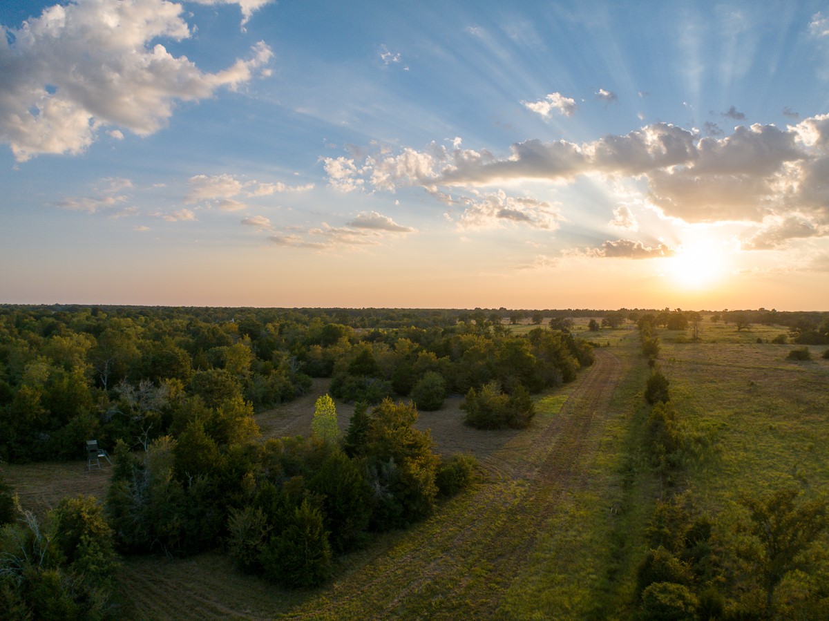 0 Burns Road Midway, TX 75852 - Photo 2 of 29 Gallery Image 2
