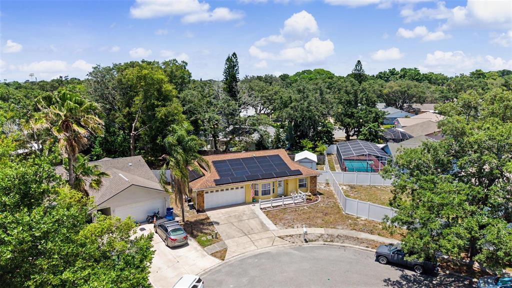 6325 Sarah Lane New Port Richey, FL 34653 - Photo 3 of 33