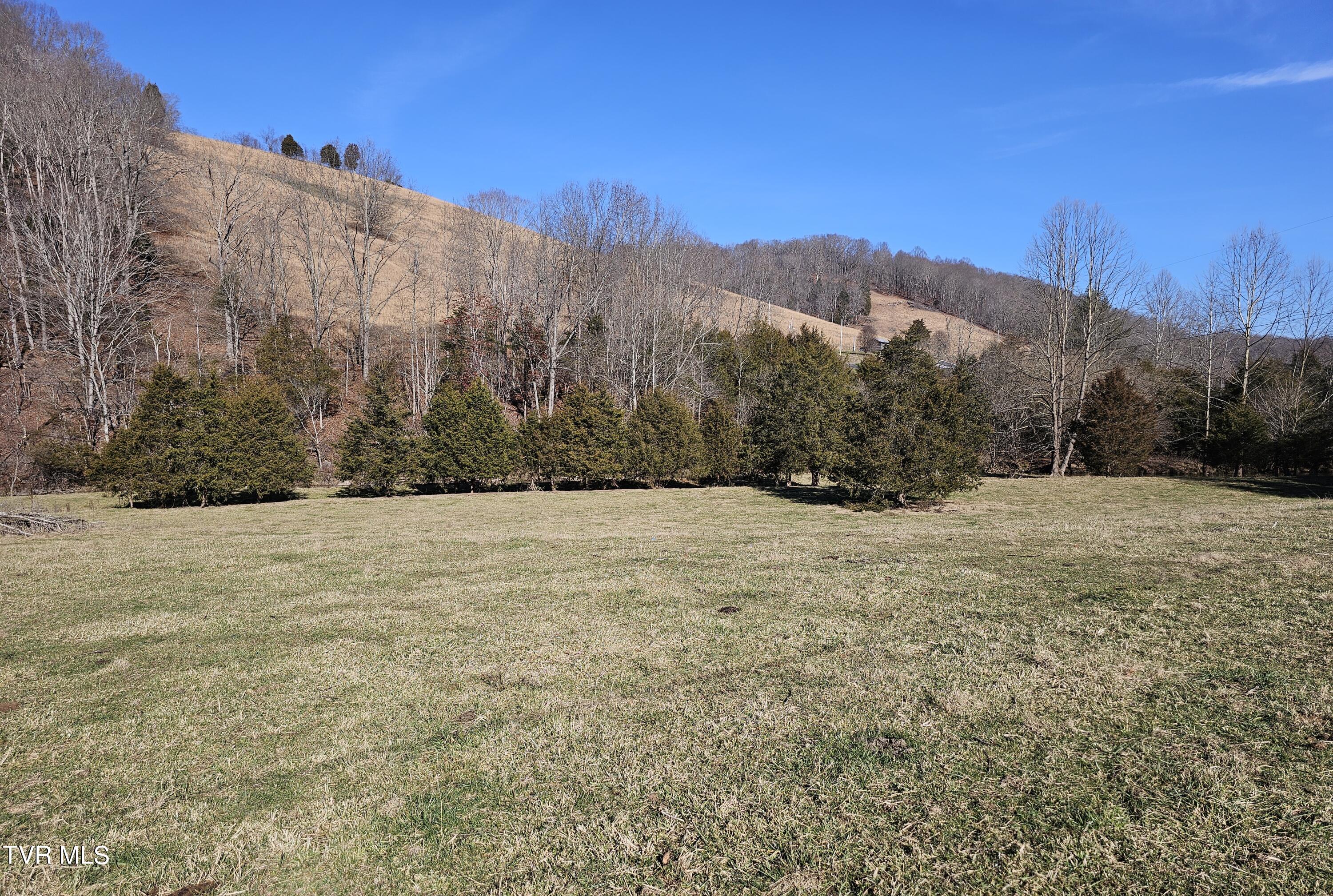 Tbd Thomas Warner Road Lebanon, VA 24266 - Photo 18 of 22 1000017376