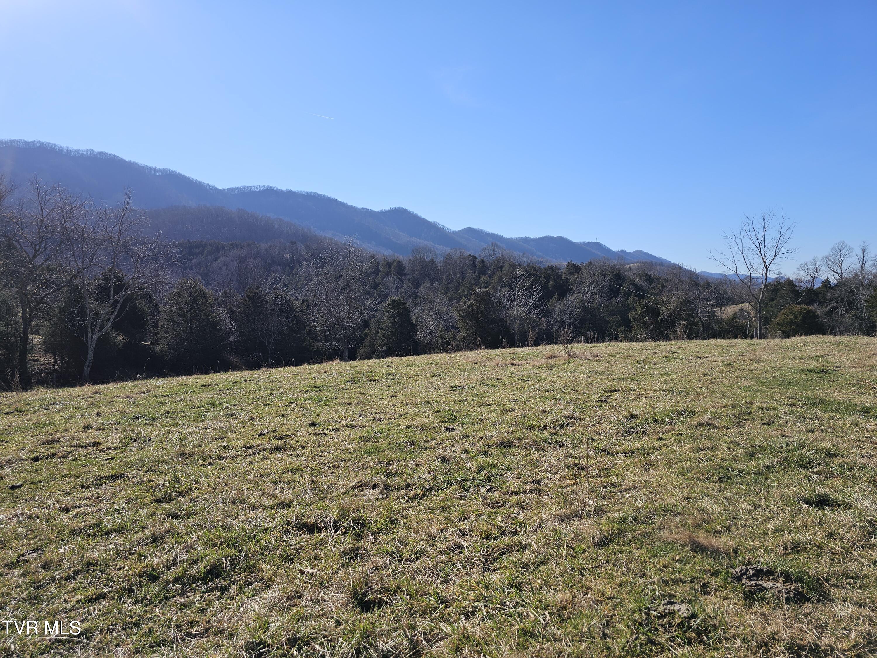 Tbd Thomas Warner Road Lebanon, VA 24266 - Photo 3 of 22 1000017380