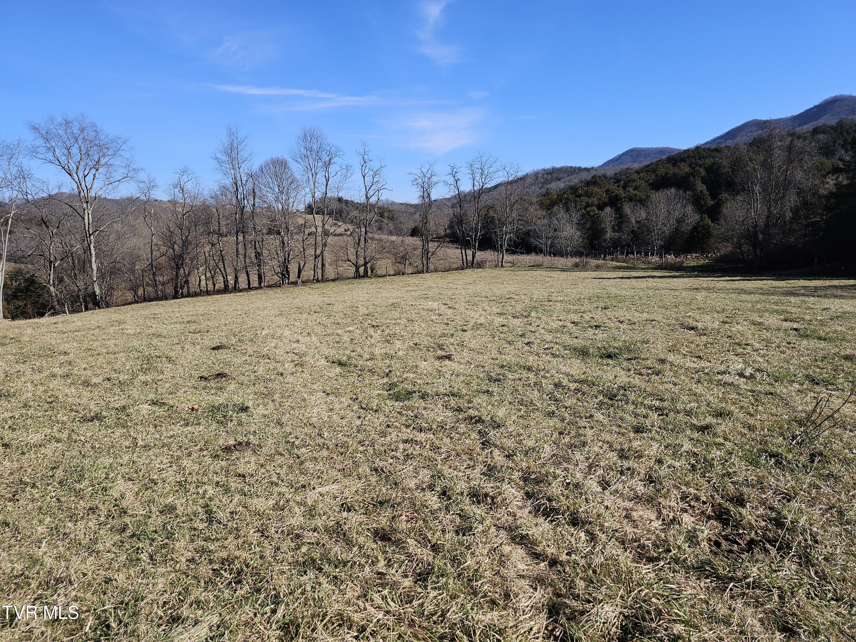 Tbd Thomas Warner Road Lebanon, VA 24266 - Photo 4 of 22 1000017382