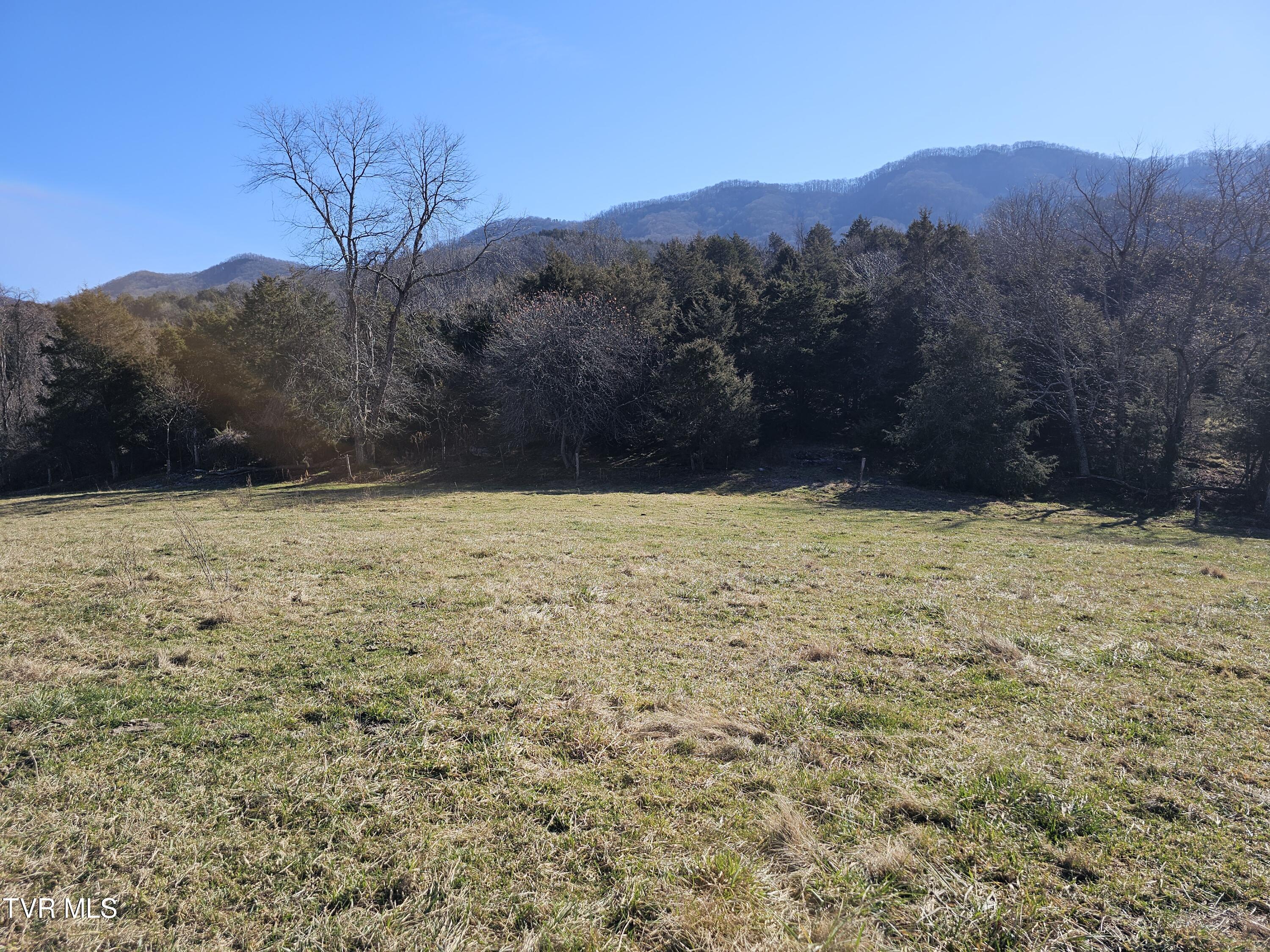 Tbd Thomas Warner Road Lebanon, VA 24266 - Photo 7 of 22 1000017384