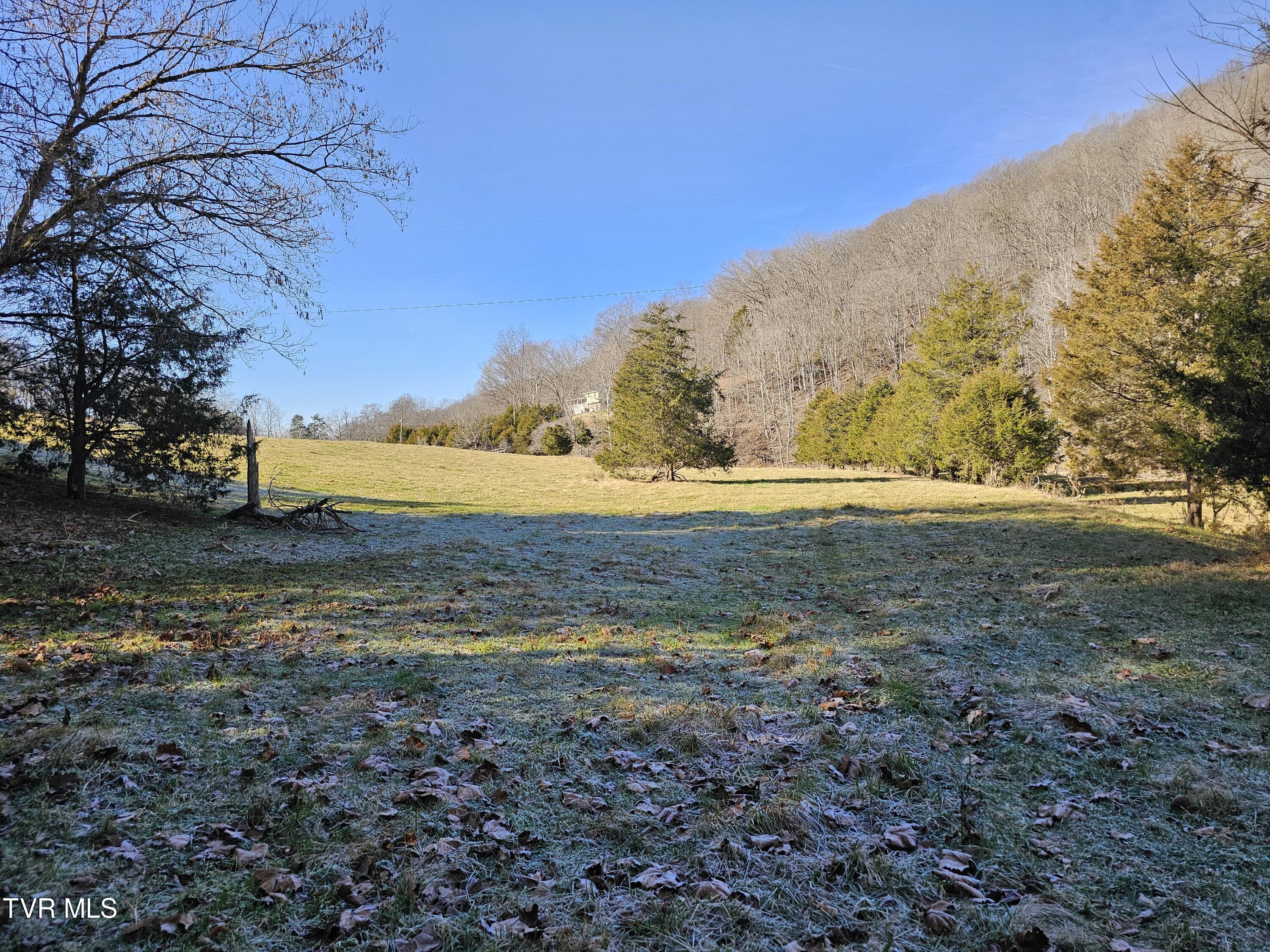 Tbd Thomas Warner Road Lebanon, VA 24266 - Photo 9 of 22 1000017362