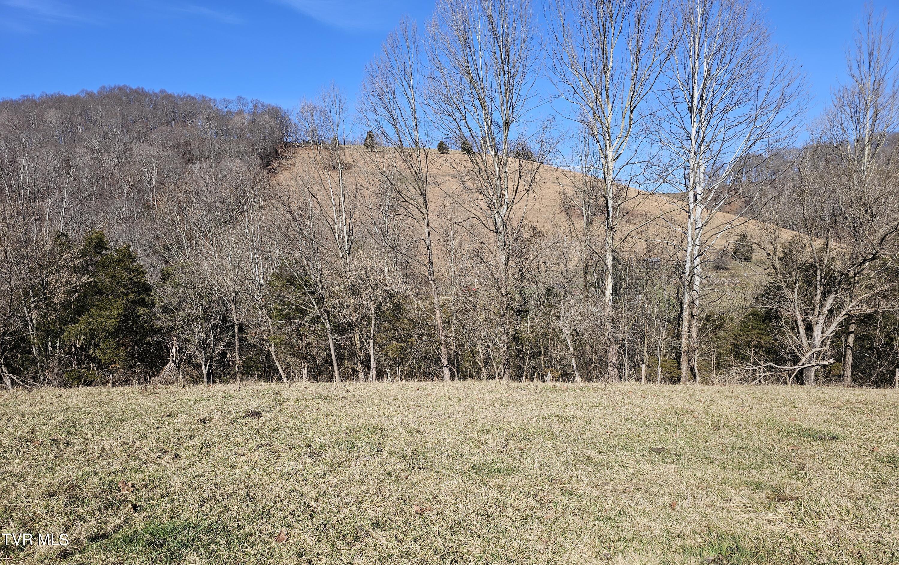 Tbd Thomas Warner Road Lebanon, VA 24266 - Photo 10 of 22 1000017383