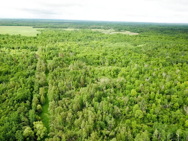 $279,000 | Tbd Tbd Cormorant Road Northeast, Kelliher, MN 56650