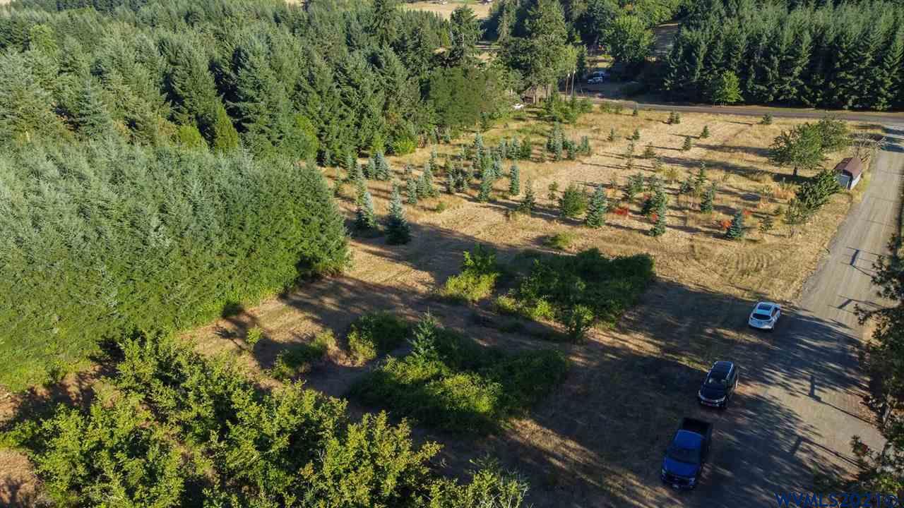 West Larson (lot 18) Road Monroe, OR 97456 - Photo 8 of 21