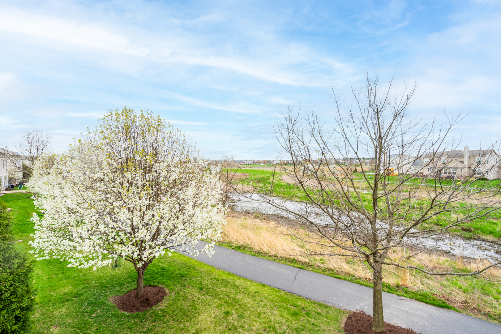 15311 Pinewood Road, Unit 15311 Lockport, IL 60441 - Photo 17 of 17 a view of a yard with an trees