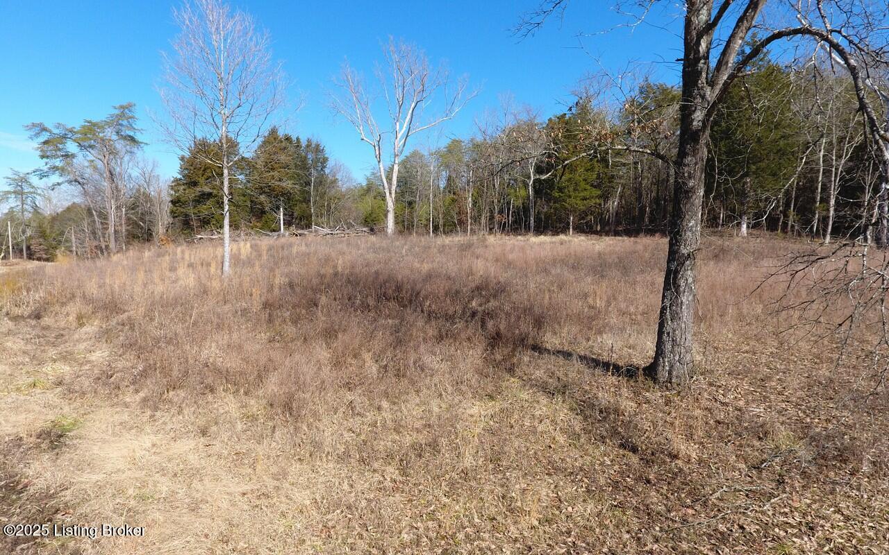 9331 Grayson Springs Road Clarkson, KY 42726 - Photo 26 of 30 9331 Grayson springs aerial18