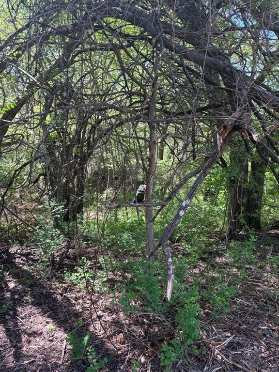 300 Rockport Road Sherman, TX 75092 - Photo 9 of 13