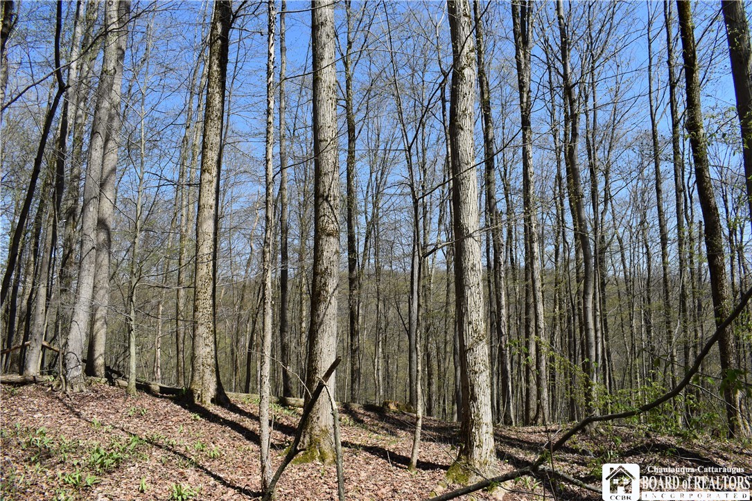 0 Fuller Gulf Road Cherry Creek, NY 14723 - Photo 11 of 25