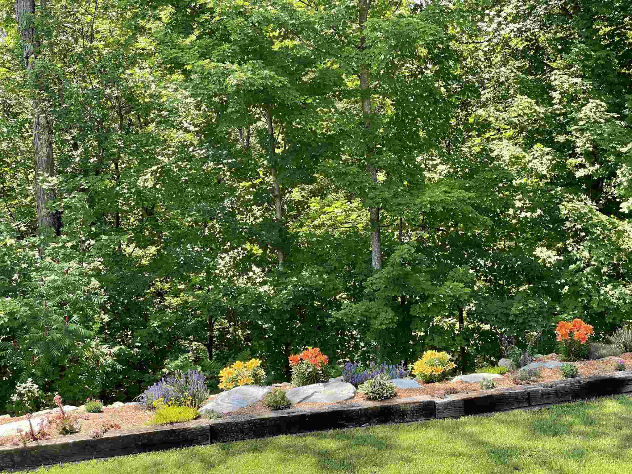 1577 Birch Hill Road Brandon, VT 05733 - Photo 26 of 36