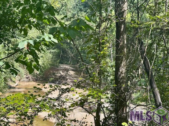 0 Darrington Road Crosby, MS 39633 - Photo 1 of 14 Gallery Image 1