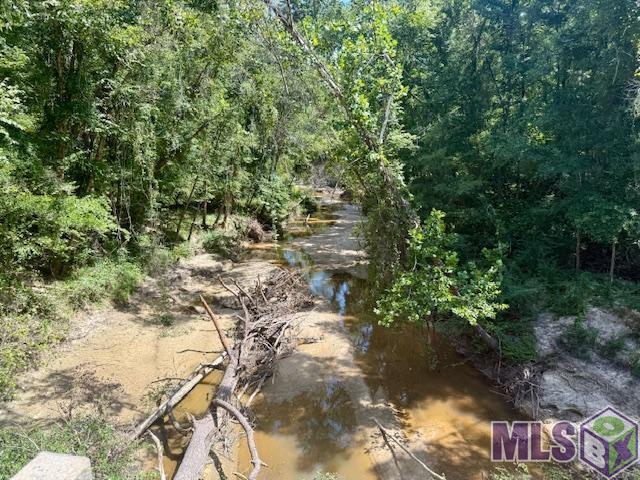 0 Darrington Road Crosby, MS 39633 - Photo 12 of 14 Gallery Image 12