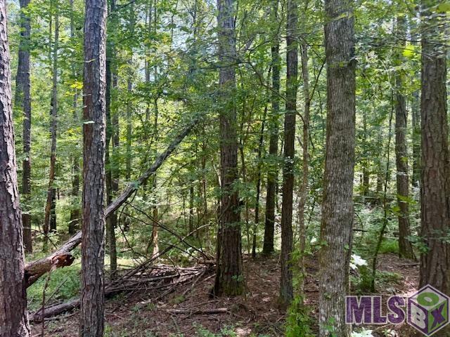 0 Darrington Road Crosby, MS 39633 - Photo 2 of 14 Gallery Image 2