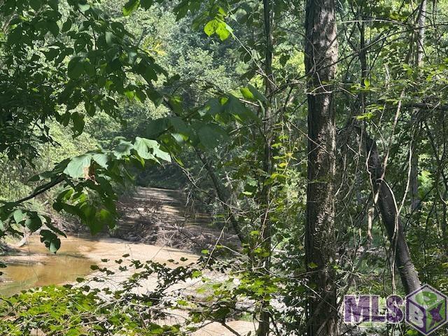 0 Darrington Road Crosby, MS 39633 - Photo 3 of 14 Gallery Image 3
