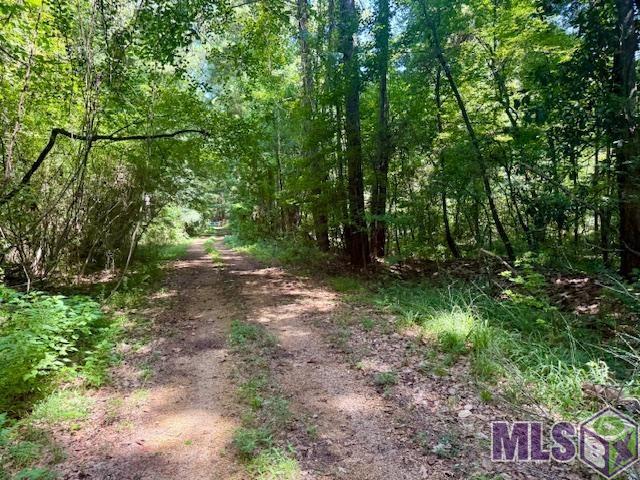 0 Darrington Road Crosby, MS 39633 - Photo 4 of 14 Gallery Image 4