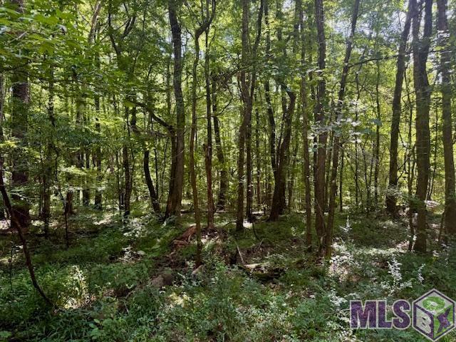 0 Darrington Road Crosby, MS 39633 - Photo 5 of 14 Gallery Image 5