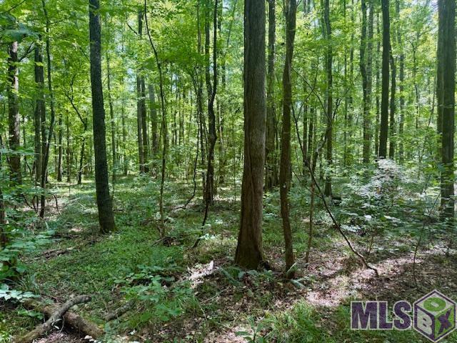 0 Darrington Road Crosby, MS 39633 - Photo 7 of 14 Gallery Image 7