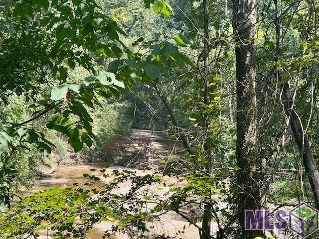 0 Darrington Road Crosby, MS 39633 - Photo 9 of 14 Gallery Image 9