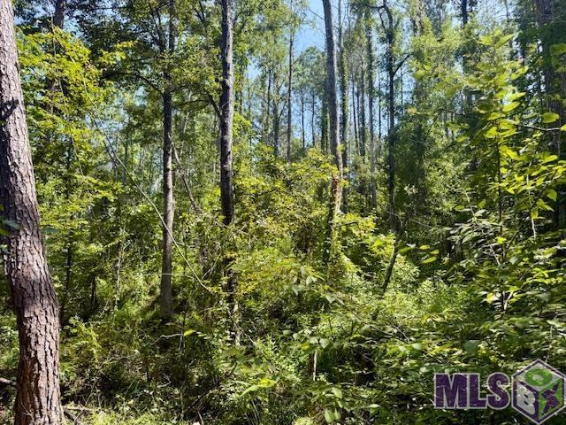 0 Darrington Road Crosby, MS 39633 - Photo 10 of 14 Gallery Image 10