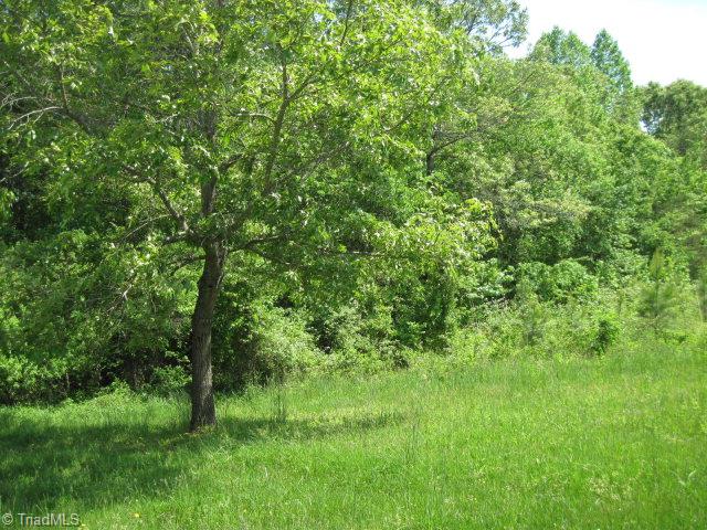 516 Roberts Road Burlington, NC 27217 - Photo 6 of 10 Yard/Land