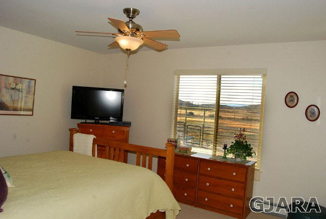1677 P Road Loma, CO 81524 - Photo 10 of 14 a bedroom with a bed and a flat screen tv