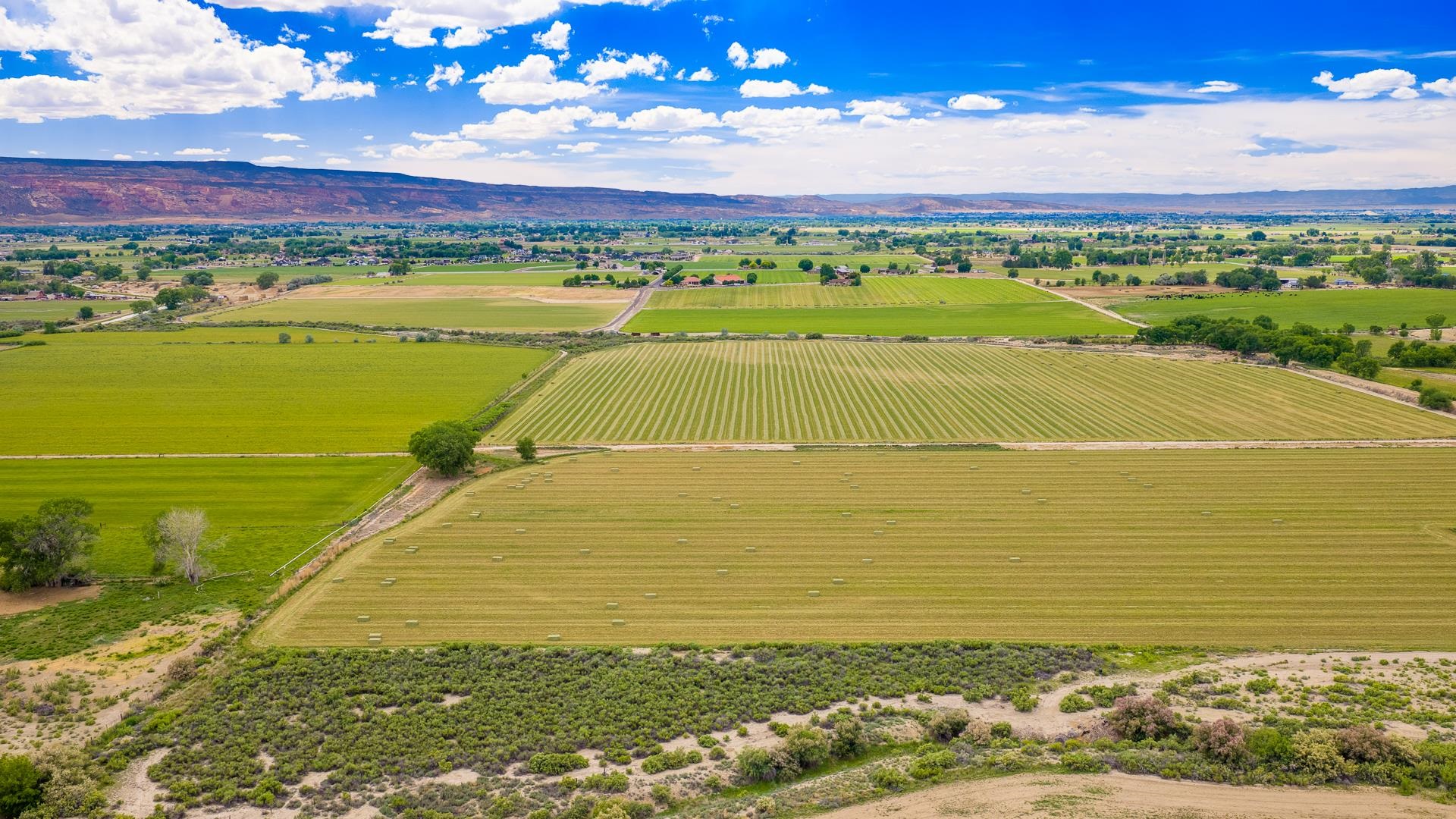 1063 24 Road Grand Junction, CO 81505 - Photo 4 of 14 Gallery Image 4