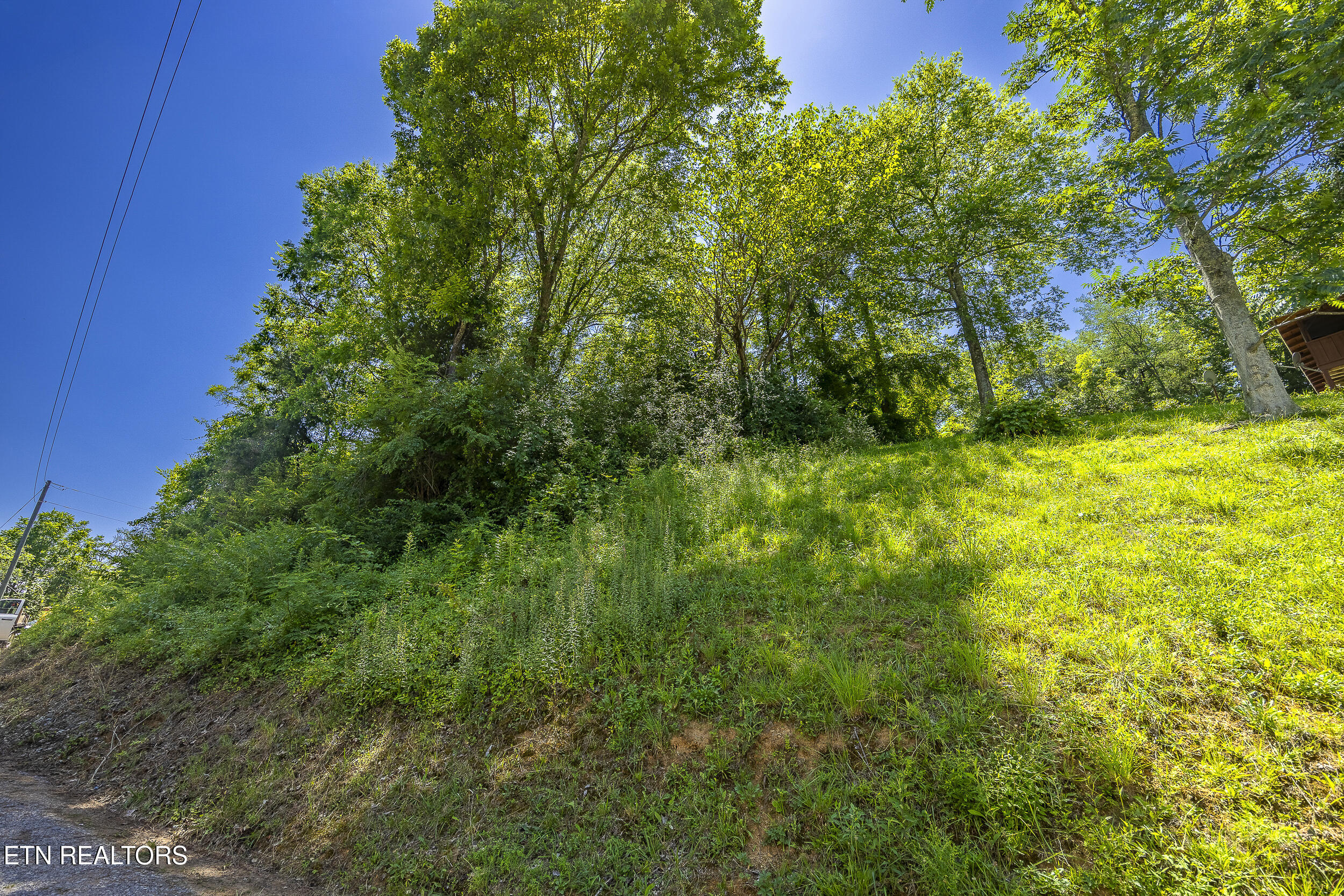 Raejon Way Sevierville, TN 37862 - Photo 7 of 39 006A7356-HDR