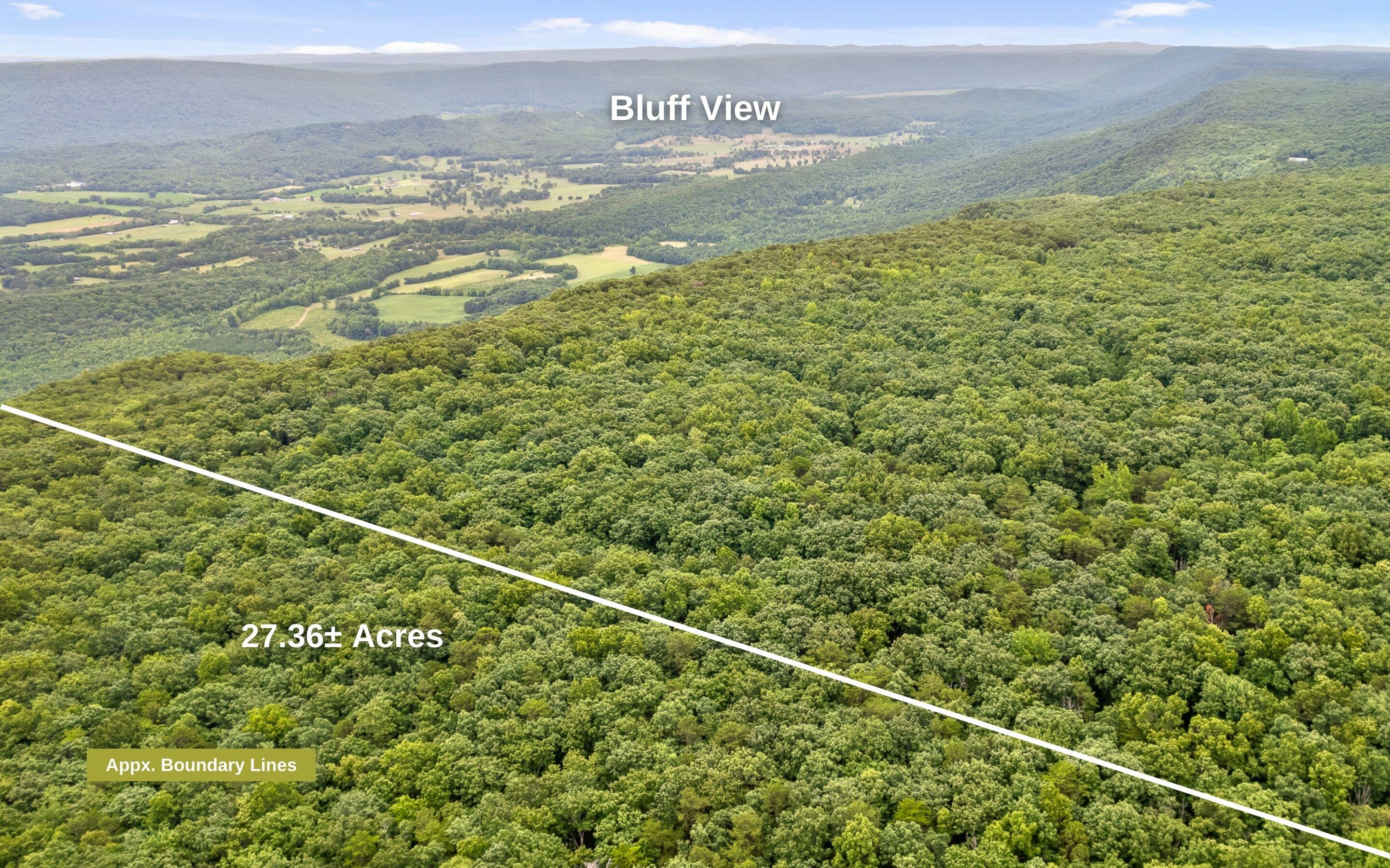 157 Highway 157 Rising Fawn, GA 30738 - Photo 12 of 24 27 Acres Hwy 157