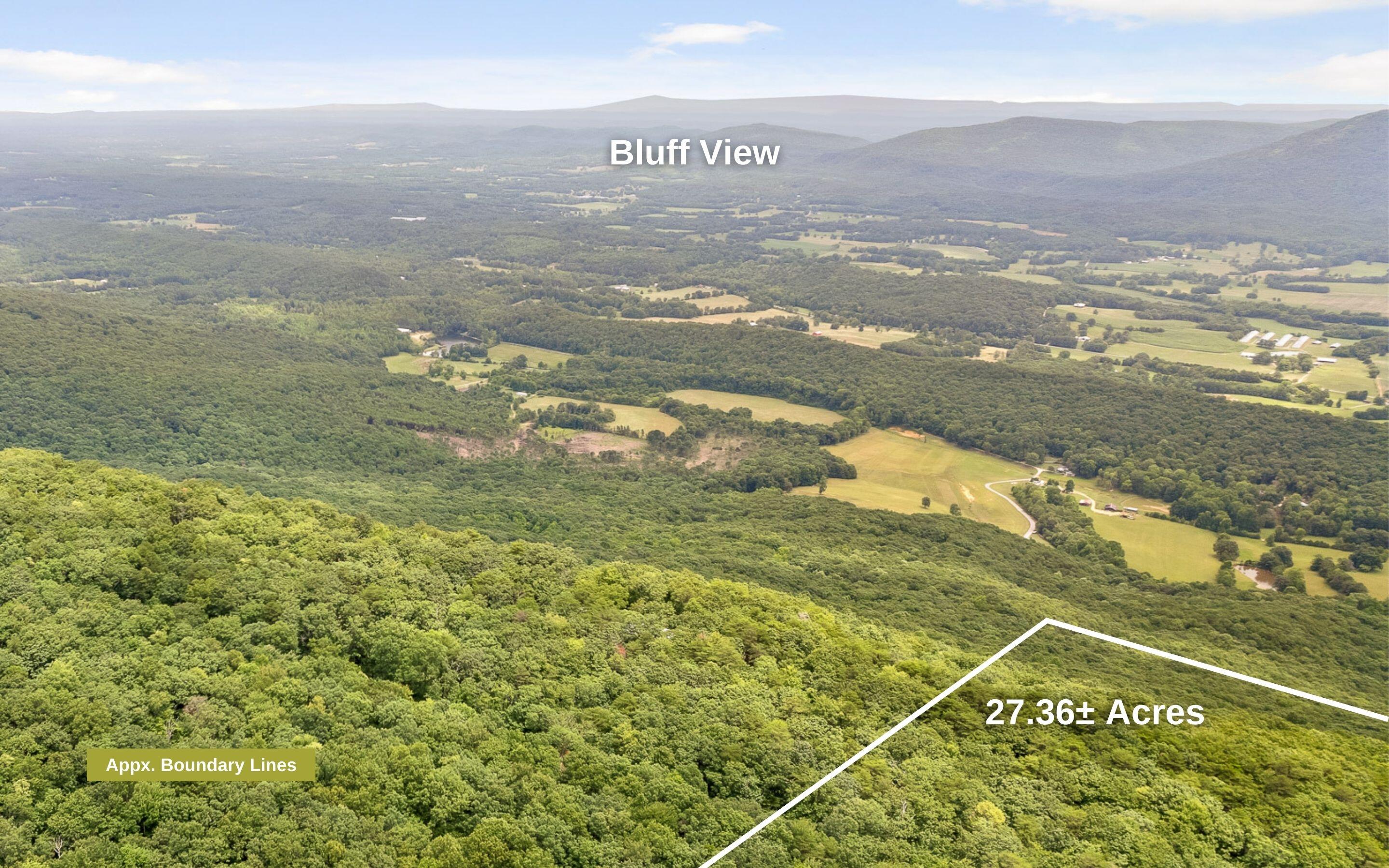 157 Highway 157 Rising Fawn, GA 30738 - Photo 8 of 24 27 Acres Hwy 157