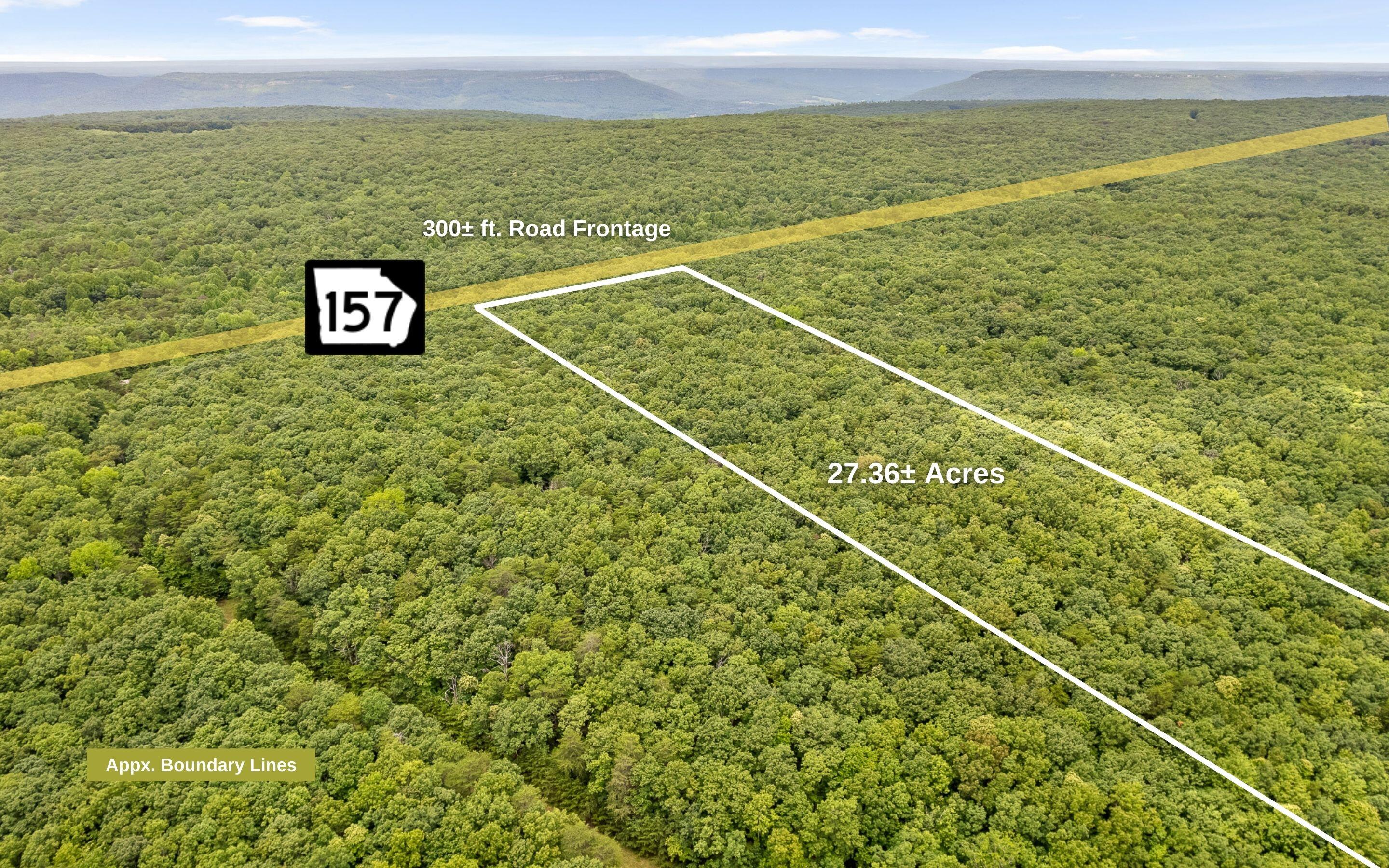 157 Highway 157 Rising Fawn, GA 30738 - Photo 9 of 24 27 Acres Hwy 157