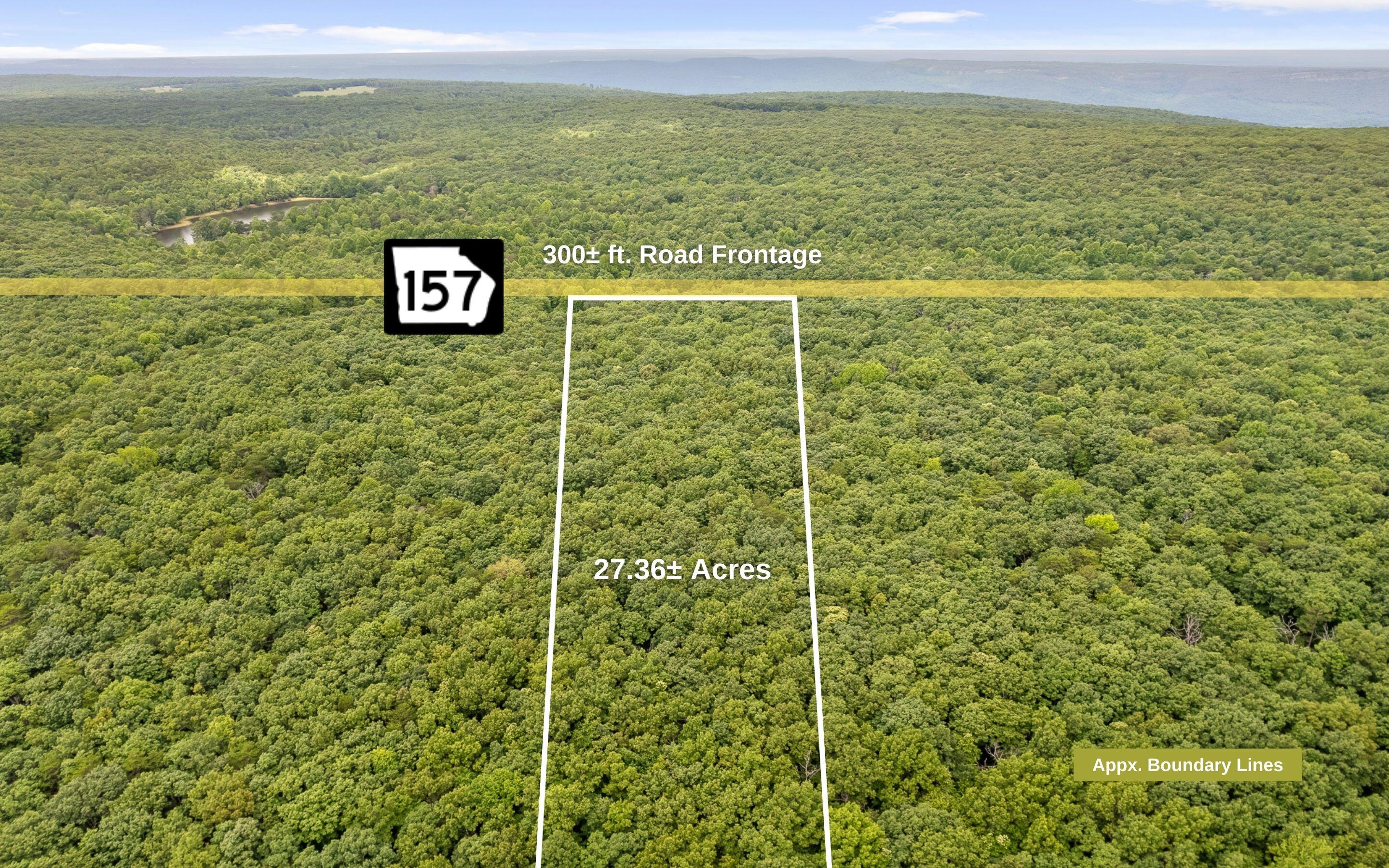 157 Highway 157 Rising Fawn, GA 30738 - Photo 10 of 24 27 Acres Hwy 157