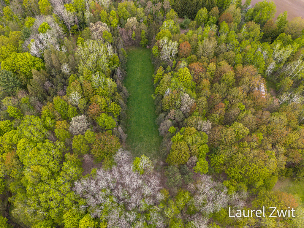 0 West Tyler Road Hart, MI 49420 - Photo 11 of 18 1442W.TaylorRd Sm Hayfield #66 for 20 Ac