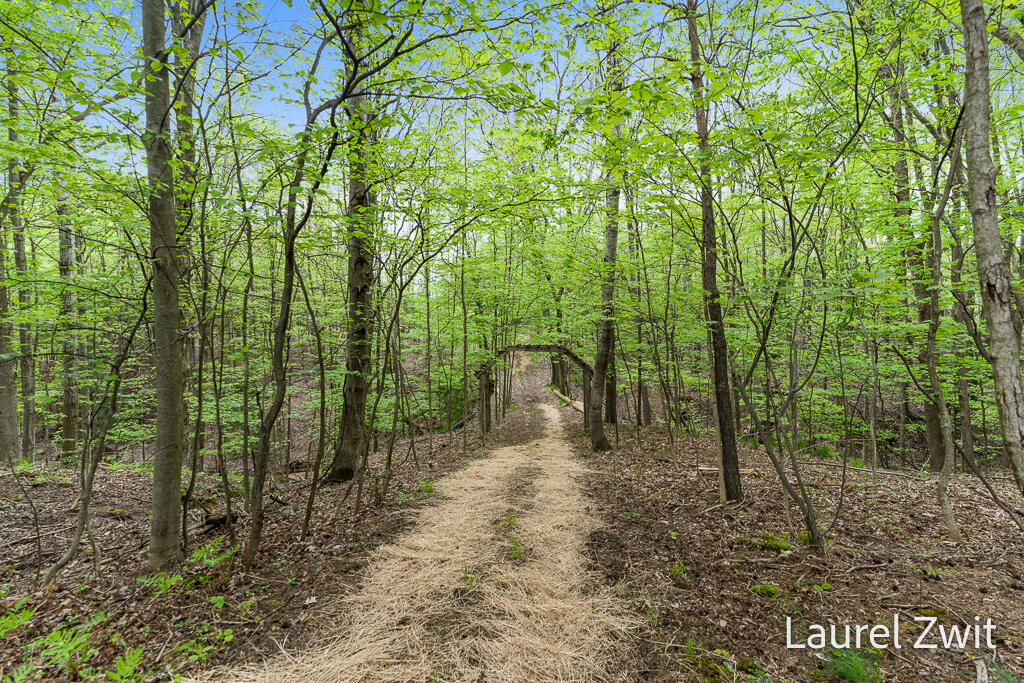 0 West Tyler Road Hart, MI 49420 - Photo 13 of 18 1442W.TaylorRd Pathway Pic #58 for 20 Ac