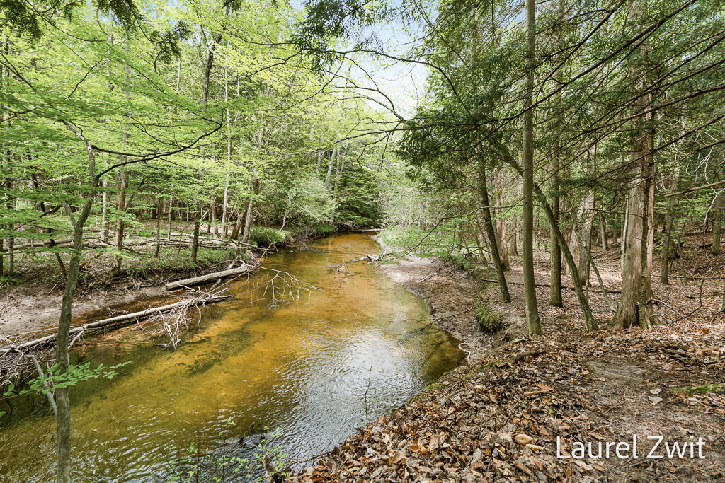 0 West Tyler Road Hart, MI 49420 - Photo 5 of 18 West Side of River #53