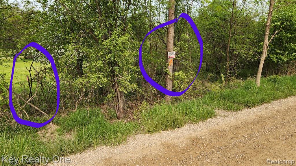 0 Pontiac Lake Road Oxford, MI 48371 - Photo 11 of 16
