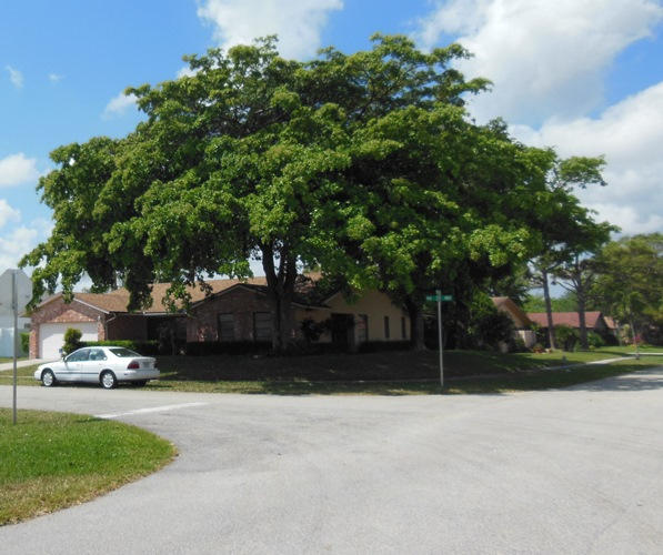 3375 Northwest 28th Way Boca Raton, FL 33434 - Photo 8 of 11 3375