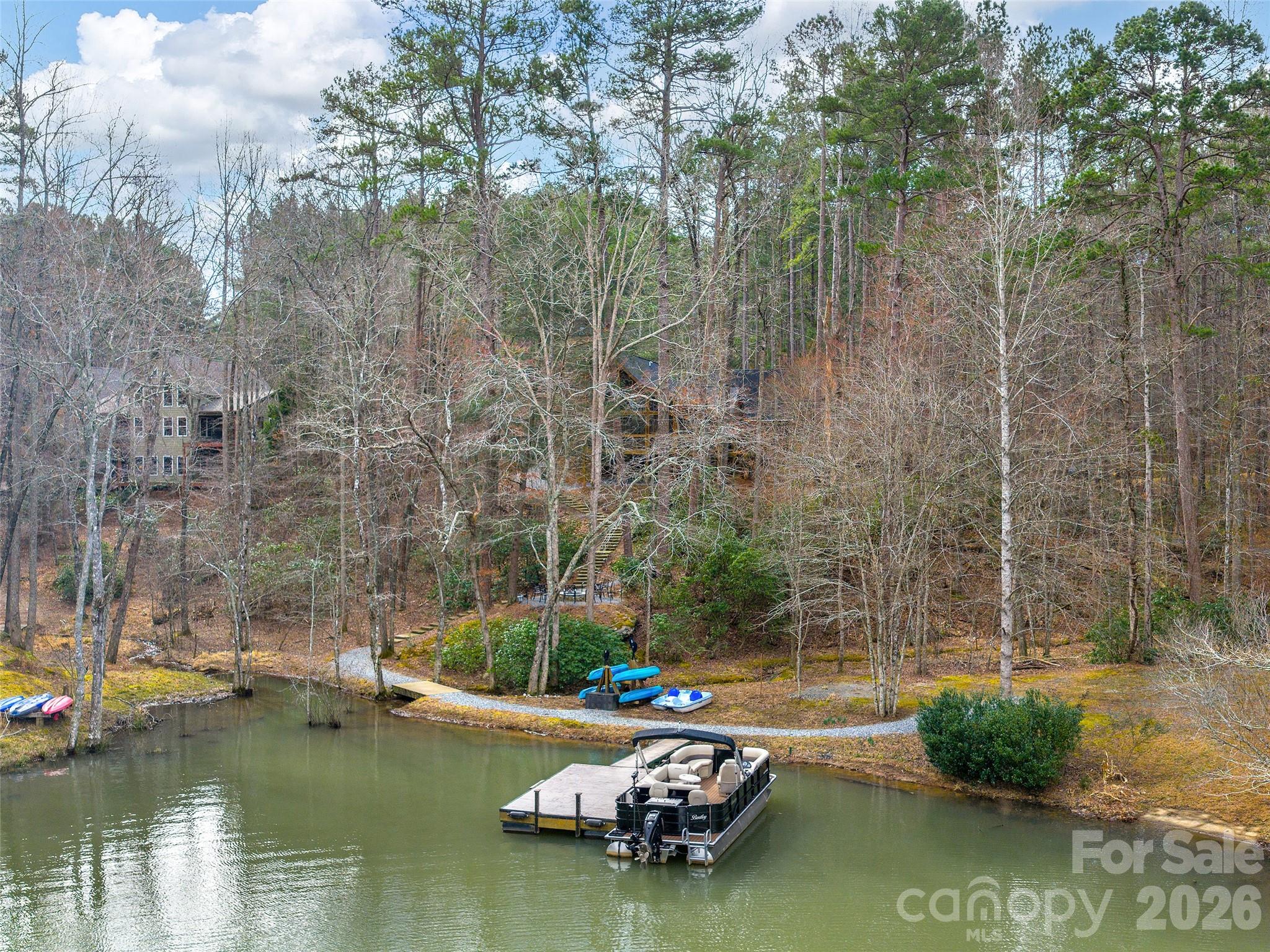 201 Hawk Ridge Drive Mill Spring, NC 28756 - Photo 2 of 44