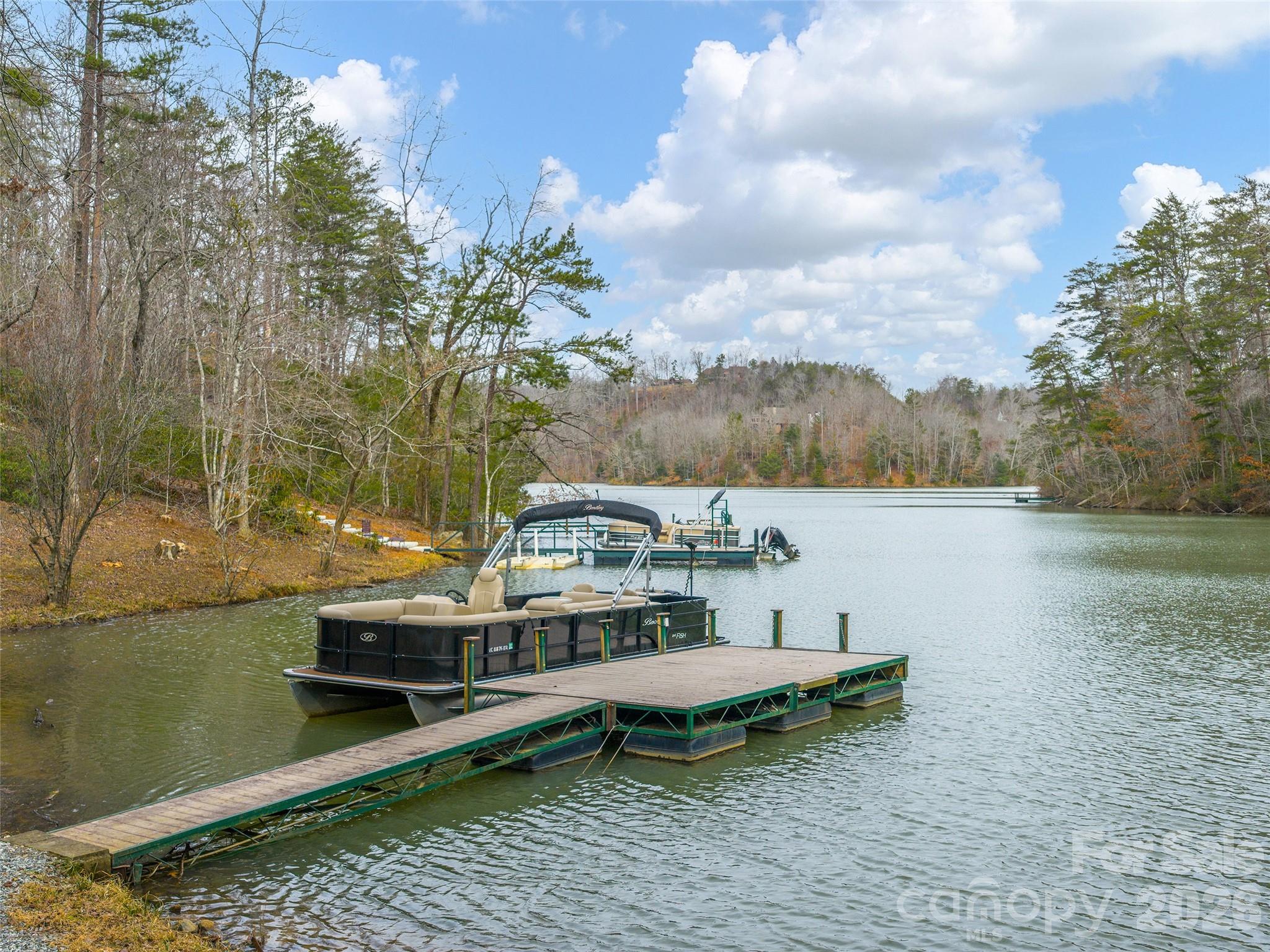 201 Hawk Ridge Drive Mill Spring, NC 28756 - Photo 40 of 44