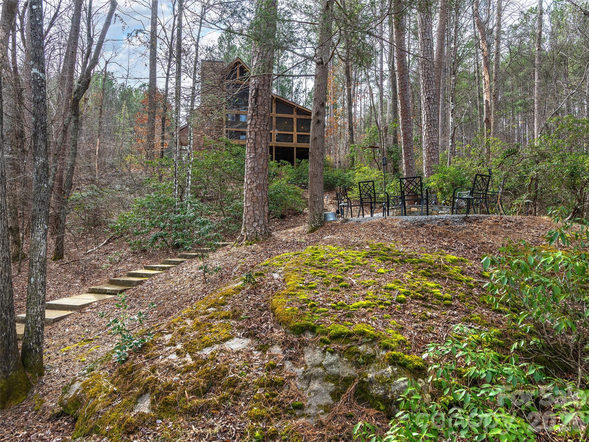 201 Hawk Ridge Drive Mill Spring, NC 28756 - Photo 4 of 44