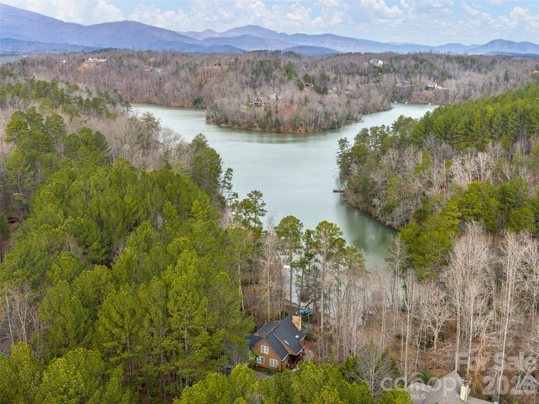 201 Hawk Ridge Drive Mill Spring, NC 28756 - Photo 44 of 44